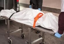 طالب يقتل صديقه بالسكين في الشارع بالوراق