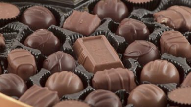 شيكولاته | كاكاو | شجرة كاكاو | شجره كاكاو