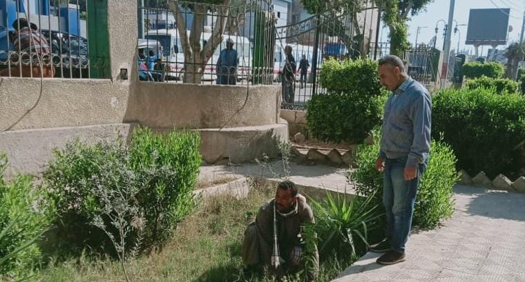 تجريف الأشجار النادرة
