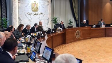 مجلس الوزراء المصري
