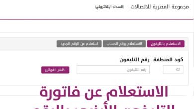 فاتورة التليفون الارضي بالوادى الجديد