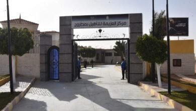 صندوق مكافحة الادمان | عنوان صندوق مكافحة الإدمان | علاج الإدمان | علاج الادمان في مصر | علاج الادمان بالمجان | انواع الادمان | أنواع الإدمان | اسباب الادمان