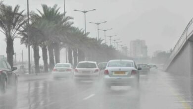 نشاط الرياح