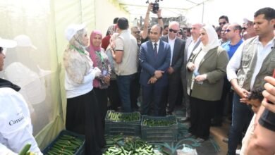 وزيرة التضامن الاجتماعي - موقع الاول