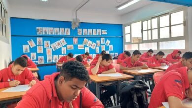 بدائل الثانوية العامة