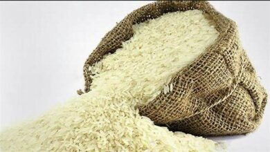 أسعار الأرز اليوم