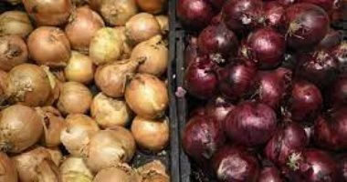 أسعار البصل اليوم .. الأبيض والأحمر