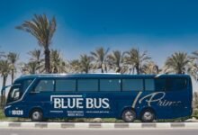 بلو باص حجز بلو باص ارقام بلو باص بلو باص اكتوبر بلو باص اسكندرية بلو باص الغردقة شركه بلو باص مواعيد بلو باص شركة بلو باص رقم بلو باص