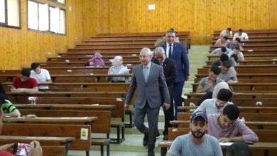 جامعة المنيا