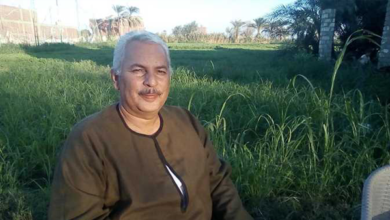 أسعار الجزر الأصفر