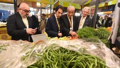 وزير التموين يعلن إنشاء أسواق اليوم الواحد في مصر