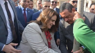 100 مليون شجرة