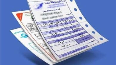 الاستعلام عن فاتورة الكهرباء بالدقهلية