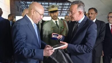 المتحف المصرى