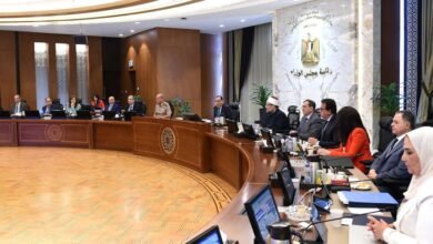 قرارات مجلس الوزراء