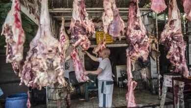 أسعار اللحوم والدواجن