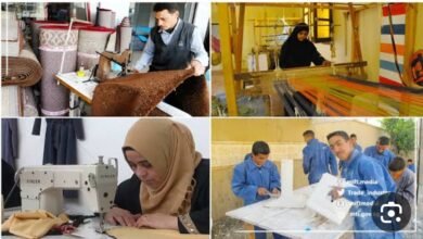 مشروع شباب الخريجين