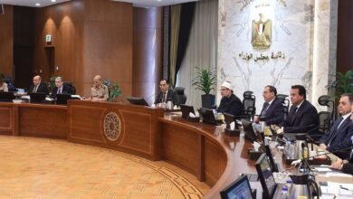 قرارات مجلس الوزراء