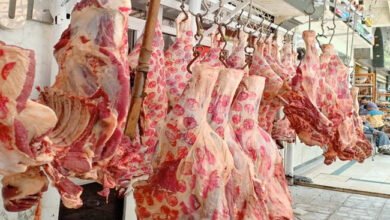 لحوم عيد الاضحي