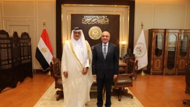 العاصمة الإدارية الجديدة