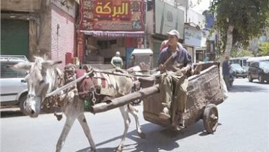 ترخيص عربات الحنطور والكارو والدراجات