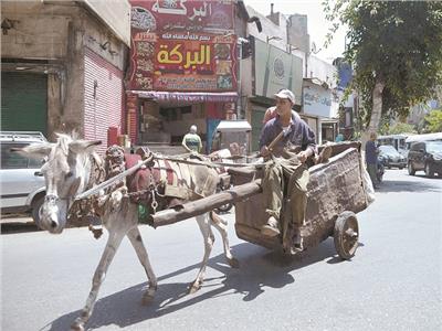 ترخيص عربات الحنطور والكارو والدراجات