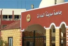 جامعة مدينة السادات