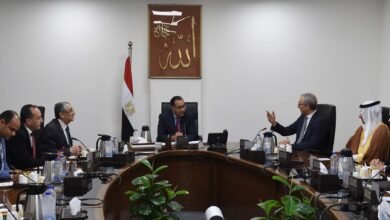 رئيس الوزراء يلتقي الرئيس التنفيذي لشركة "أكوا باور" السعودية