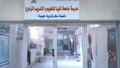 مدرسة جامعة المنيا للتعليم المزدوج
