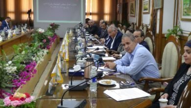 مجلس جامعة المنيا