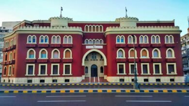 جامعة الإسكندرية