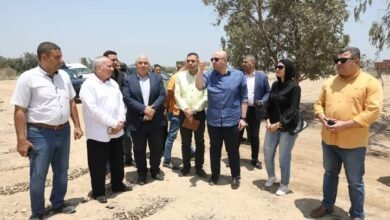 اقامه مشروع سوق للسيارات ضمن جهود تحقيق الاستثمار الأمثل