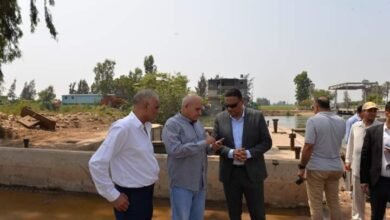 محافظة الدقهلية