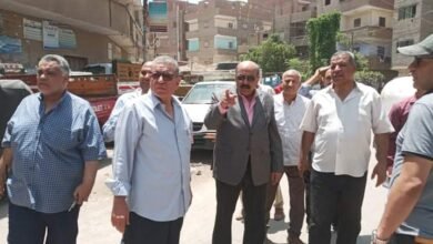 محافظة اسيوط