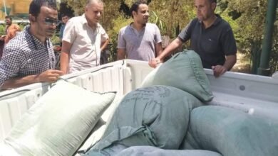 محافظة اسيوط