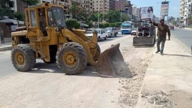 محافظة الدقهلية