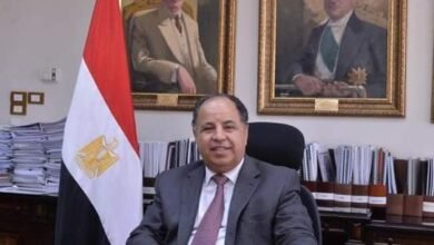 وزير المالية