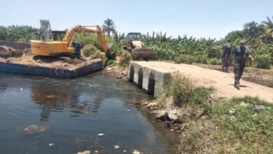 محافظة اسيوط