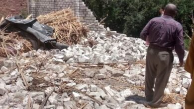 محافظة اسيوط