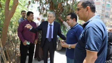 محافظ المنيا يستكمل أعمال تطوير الطريق لتحسين البنية التحتية 