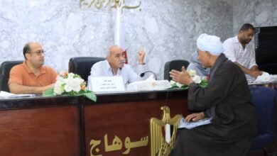 محافظ سوهاج