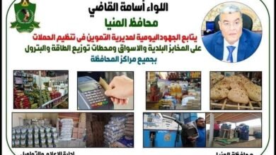 محافظ المنيا