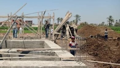 إزالة 194 حالة من المرحلة الثالثة لإزالة التعديات على الأراضي الزراعية