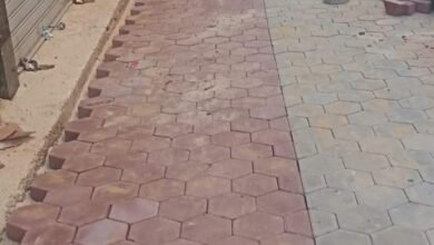 محافظة أسيوط