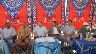 محافظة أسيوط