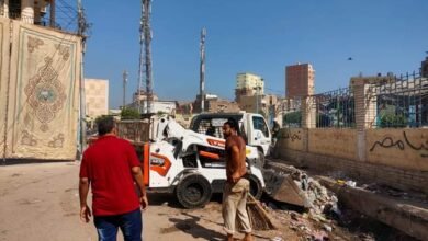 محافظة الدقهلية