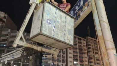 محافظة الدقهلية