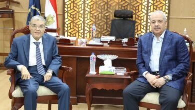 محافظ المنيا