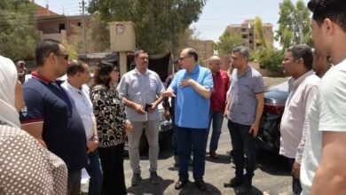 محافظة أسيوط