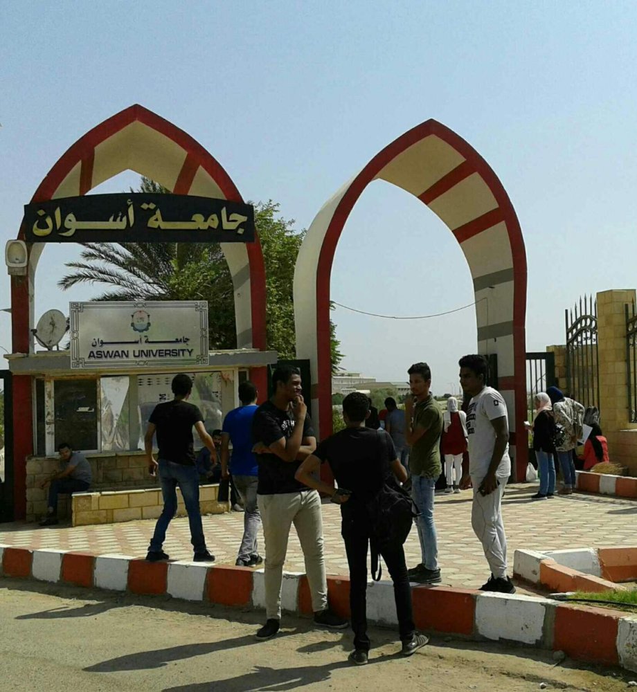 جامعة أسوان